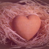 Empty Nest